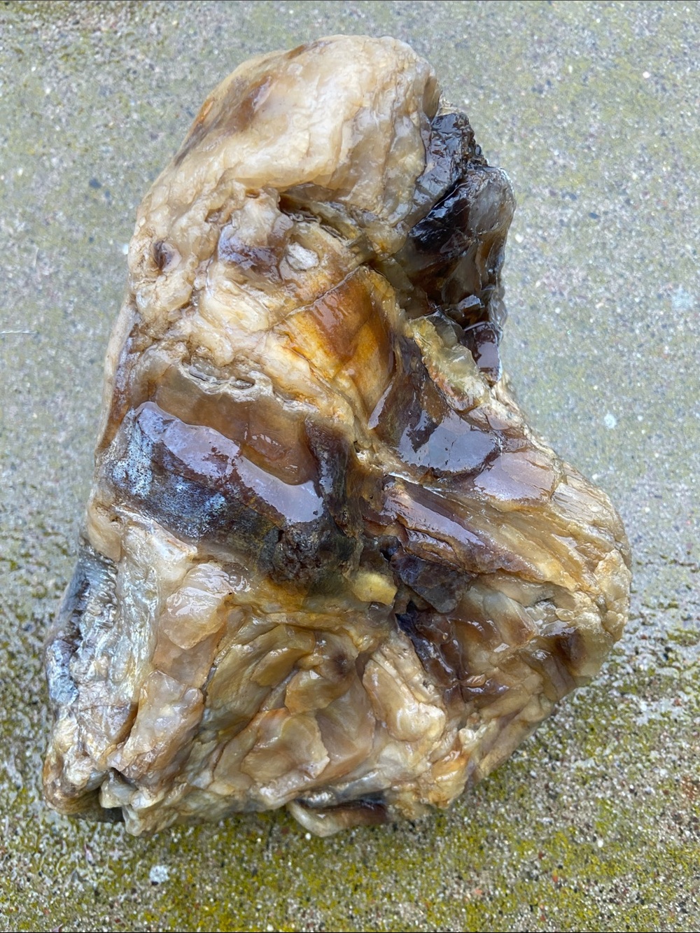 Naturally Polished Large Rock/Stone- Agate/Chalcedony/Petrified Wood/ Decorative